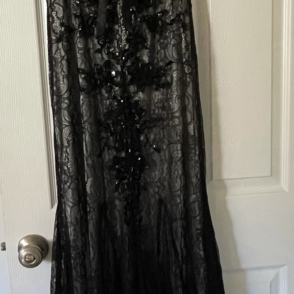 Beautiful Gown - Picture 6 of 7